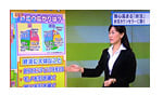 info_marugoto