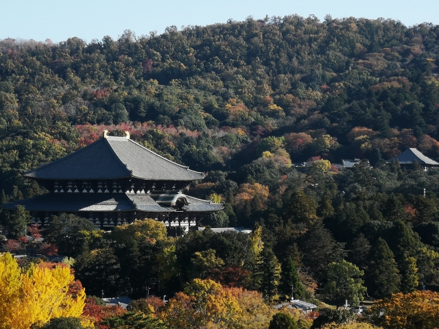 怒苦打身日記⑮　 日本の古代パンデミックのサムネイル